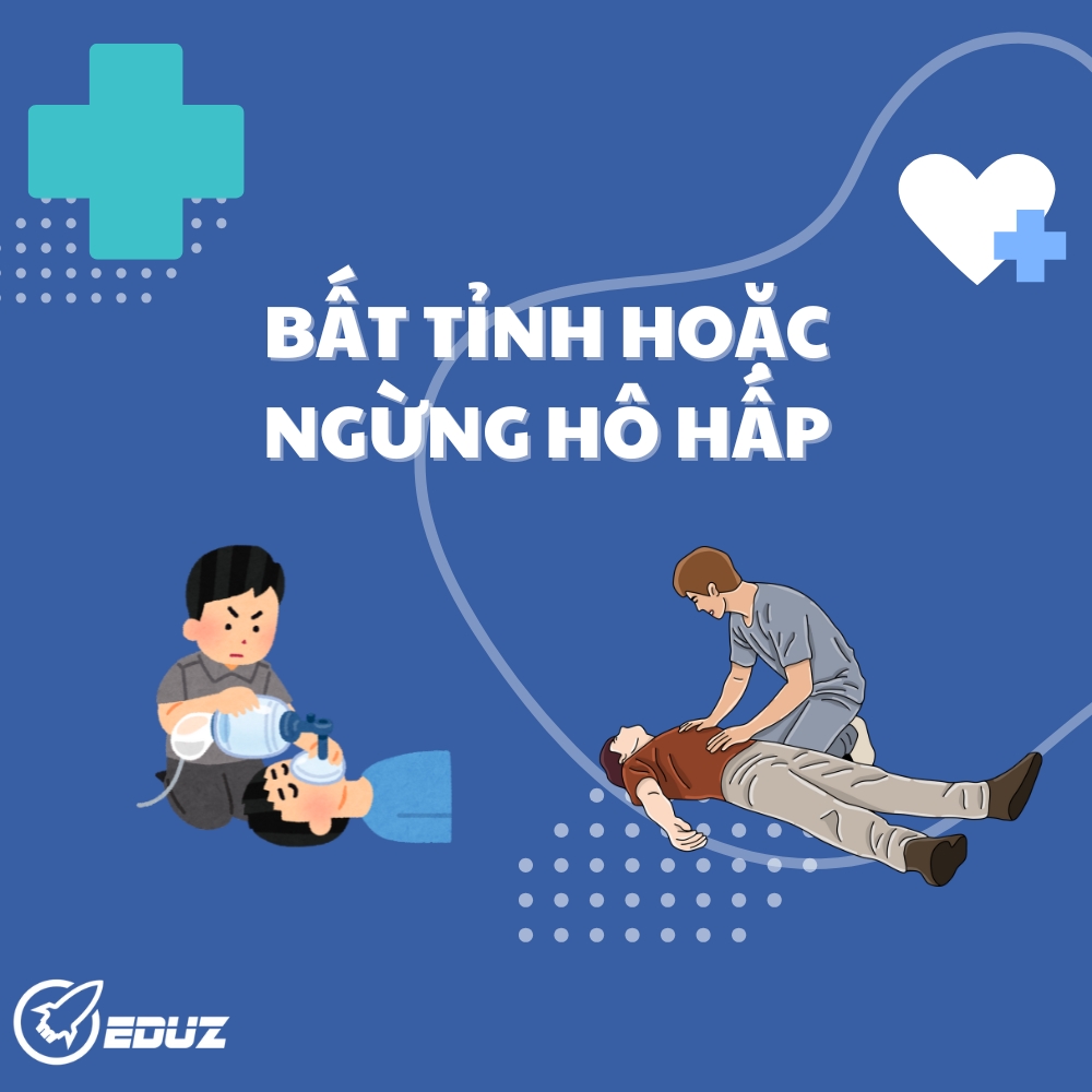 Các Ưu Tiên Cấp Cứu Khi Nạn Nhân Bất Tỉnh, Ngừng Hô Hấp